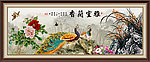 兰花 雅室兰香