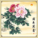 牡丹花
