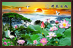 黄山迎客松