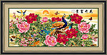 牡丹花