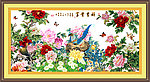 牡丹 花开富贵