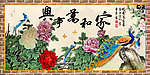牡丹 家和万事兴