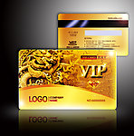 金色龙卡vip