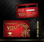 vip贵宾卡