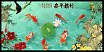 荷花 香远益清