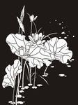 荷花 莲花 黑白图 线勾图
