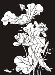 荷花 莲花 黑白图 线勾图