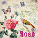 欧美风格花卉装饰画