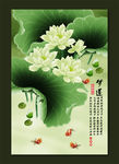 国画荷花