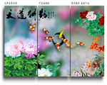牡丹花