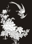花鸟 喜鹊 鹦鹉 牡丹