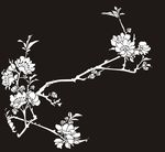 花草 花鸟 玉兰 小花