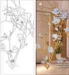 白玉兰花 富贵兰