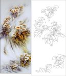 百合花 马蹄莲