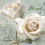 欧美风格花卉装饰画