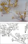 室雅无须大花香不在多