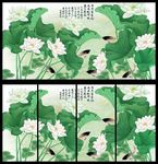 荷花