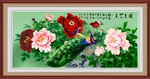 花开富贵孔雀图