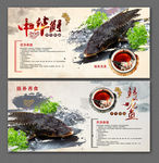 中华鲟  鲟龙鱼