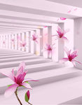 移门 红花 空间