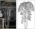 树枝 树影