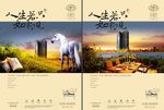 高端房地产广告
