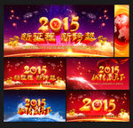 2015年会