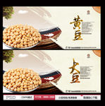 黄豆 大豆
