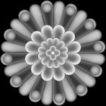 洋花灰度图