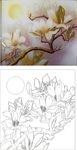 玉兰 月亮 花好月圆