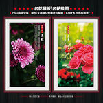 名花展板