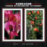 名花展板