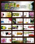 花卉画册模板