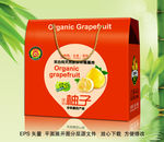 有机柚子水果箱展开图