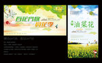 油菜花海报