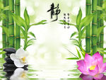 竹子倒影