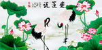 荷花