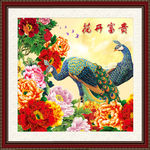 花好月圆
