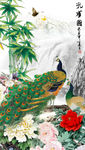 花开富贵 孔雀