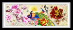 花开富贵孔雀玉兰 装饰画