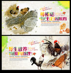 土鸡海报 家养土鸡海报