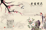 花开富贵 牡丹