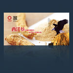 西洋参创意海报