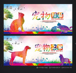 宠物海报 宠物用品