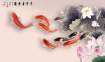 荷花鲤鱼