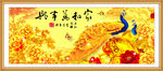 金色孔雀