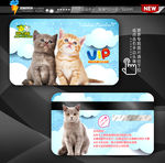 可爱蓝色宠物猫咪会员卡