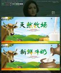 新鲜牛奶 天然牧场写意时尚版