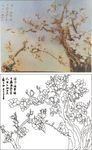 玉兰