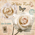 欧美风格装饰画